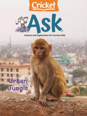 Best Price for Ask Magazine Subscription