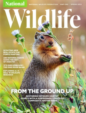 Best Price for National Wildlife Magazine Subscription