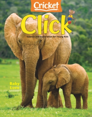 Best Price for Click Magazine Subscription