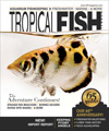 Best Price for Tropical Fish Hobbyist Magazine Subscription