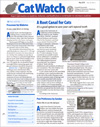 Best Price for CatWatch Magazine Subscription