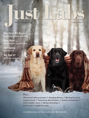 Best Price for Just Labs Magazine Subscription
