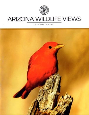 Best Price for Arizona Wildlife Views Magazine Subscription