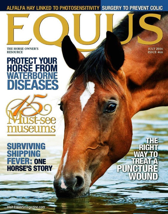 Best Price for Equus Magazine Subscription