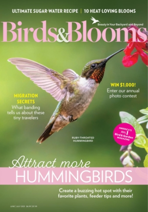 Best Price for Birds & Blooms Magazine Subscription