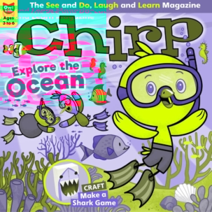 Best Price for Chirp Magazine Subscription