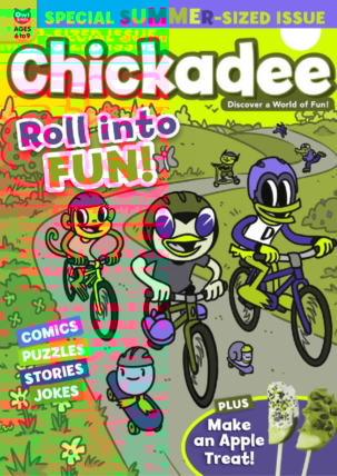 Best Price for ChickaDEE Magazine Subscription