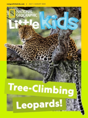 Best Price for National Geographic Little Kids Magazine Subscription