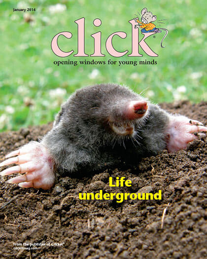 Best Price for Click Magazine Subscription