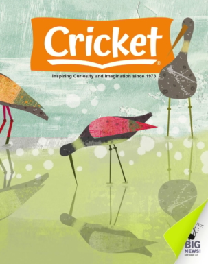 Best Price for Cricket Magazine Subscription