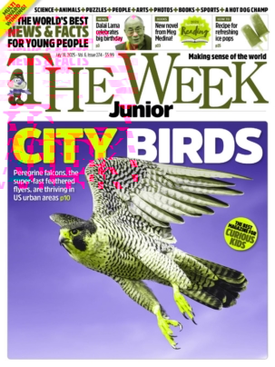 Best Price for The Week Junior Magazine Subscription