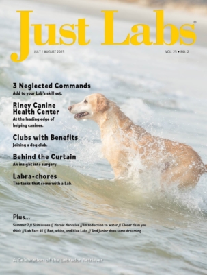 Best Price for Just Labs Magazine Subscription