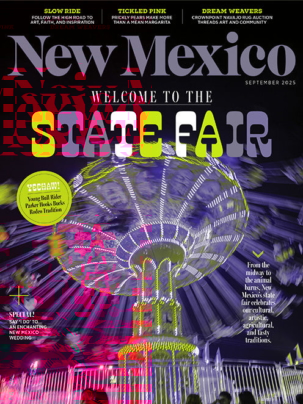 Best Price for New Mexico Magazine Subscription