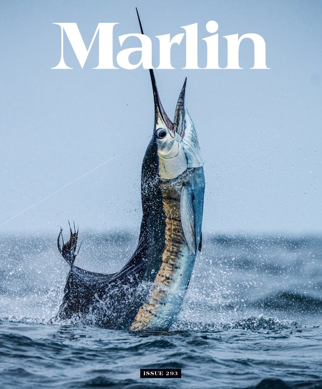 Best Price for Marlin Magazine Subscription