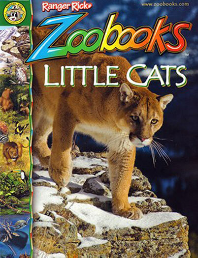 Best Price for Zoobooks Magazine Subscription