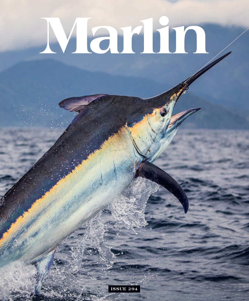 Best Price for Marlin Magazine Subscription