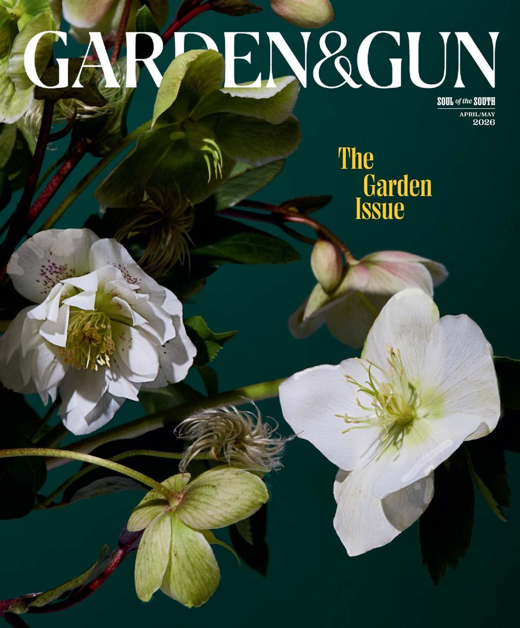 Best Price for Garden & Gun Magazine Subscription