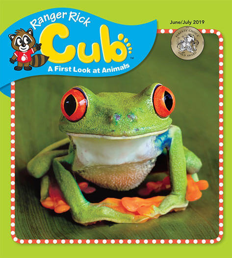 Best Price for Ranger Rick Cub Magazine Subscription