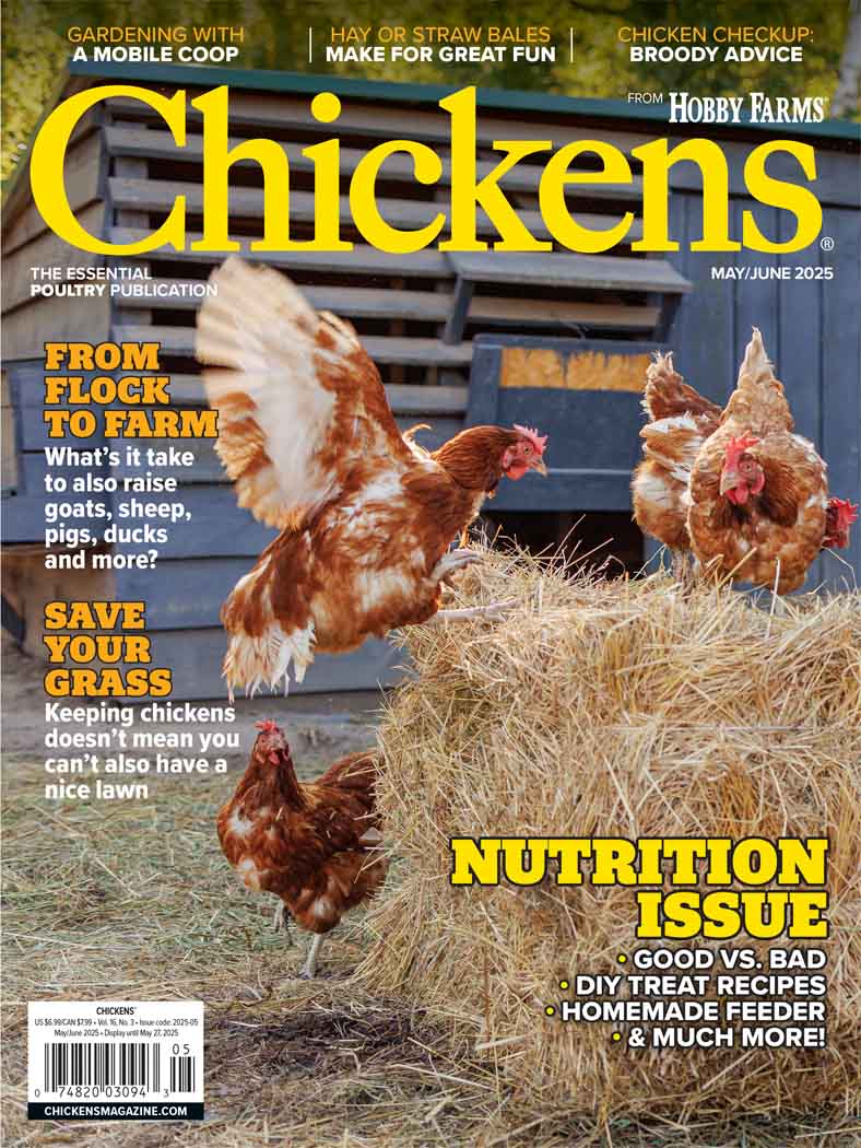Best Price for Chickens Magazine Subscription