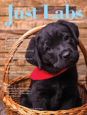 Best Price for Just Labs Magazine Subscription