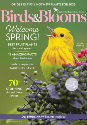 Best Price for Birds & Blooms Magazine Subscription