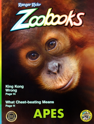 Best Price for Zoobooks Magazine Subscription