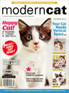 Best Price for Modern Cat Magazine Subscription