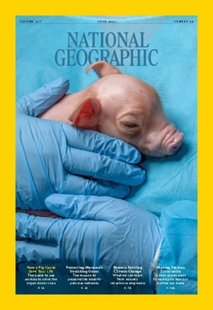 Best Price for National Geographic Magazine Subscription