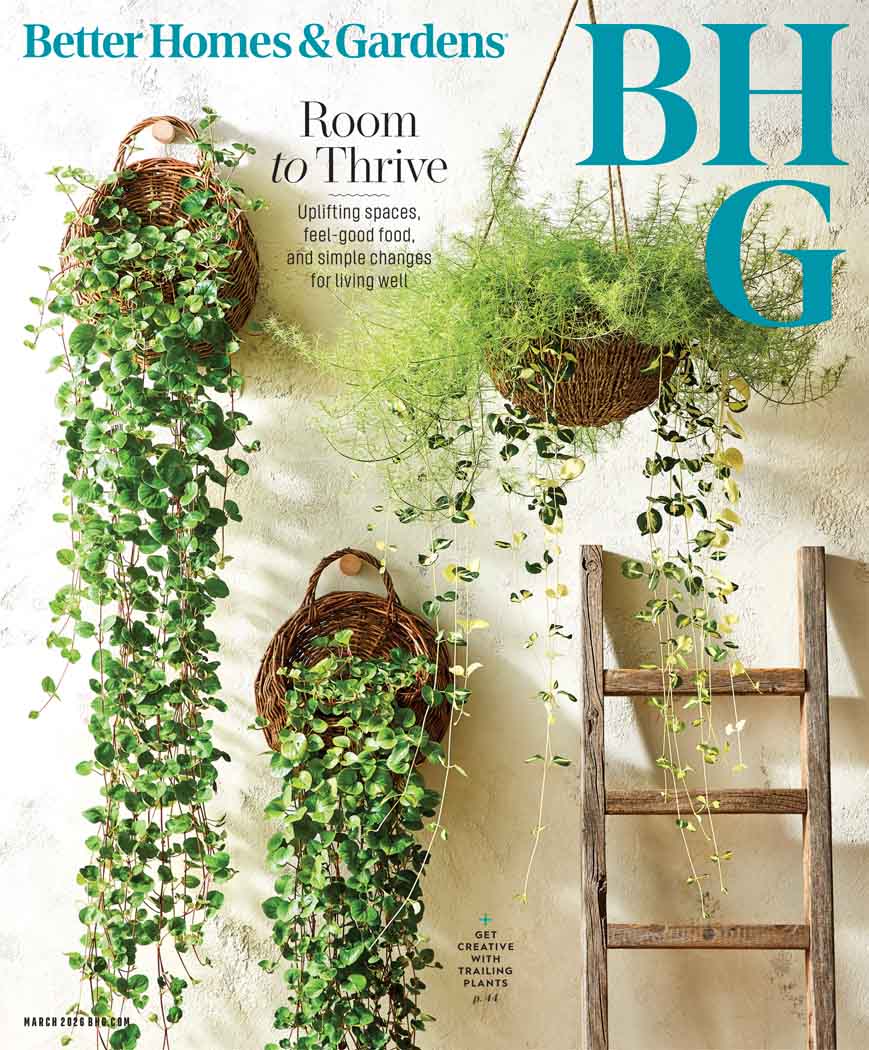 Best Price for Better Homes & Gardens Magazine Subscription
