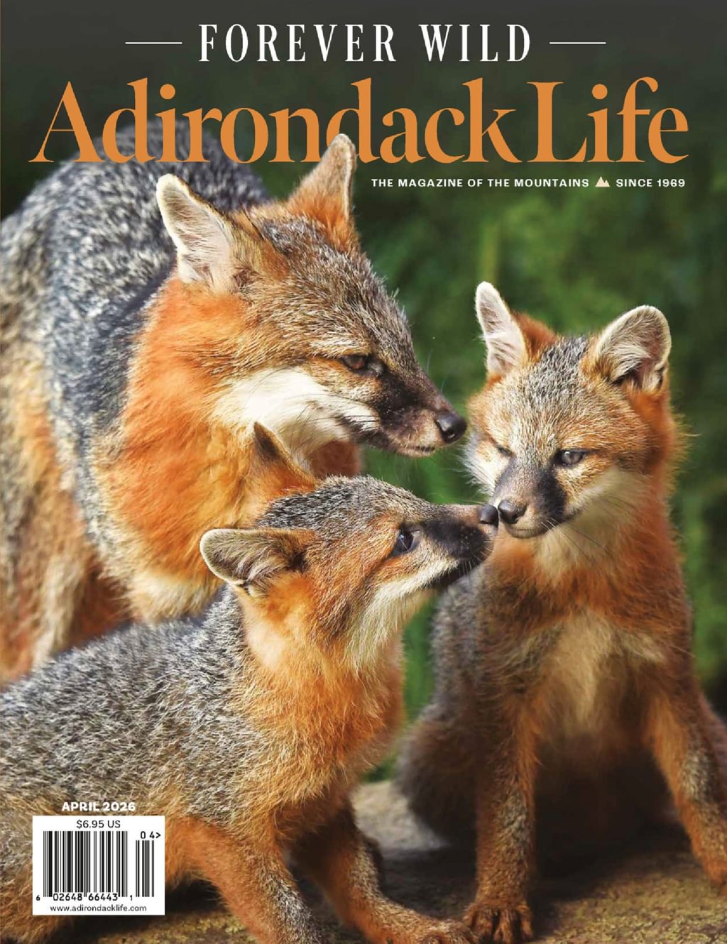 Best Price for Adirondack Life Magazine Subscription