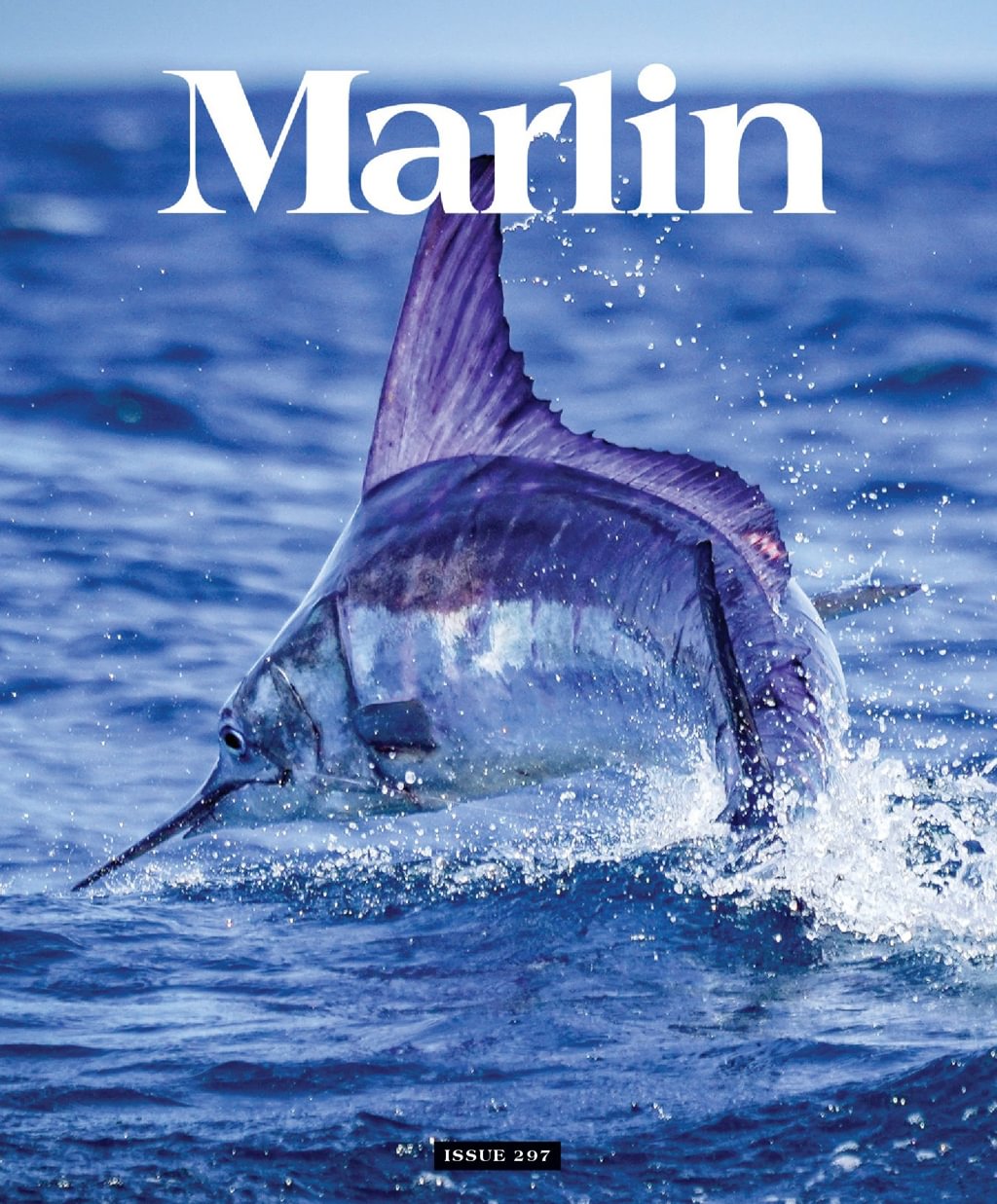 Best Price for Marlin Magazine Subscription